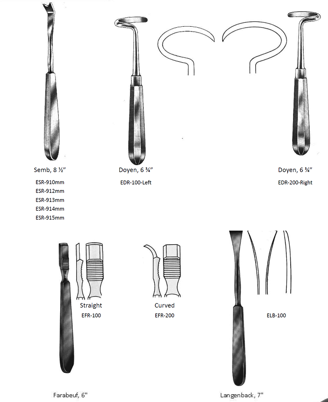 rib rasp