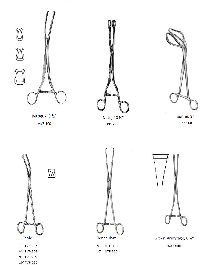 uterine elevating forceps